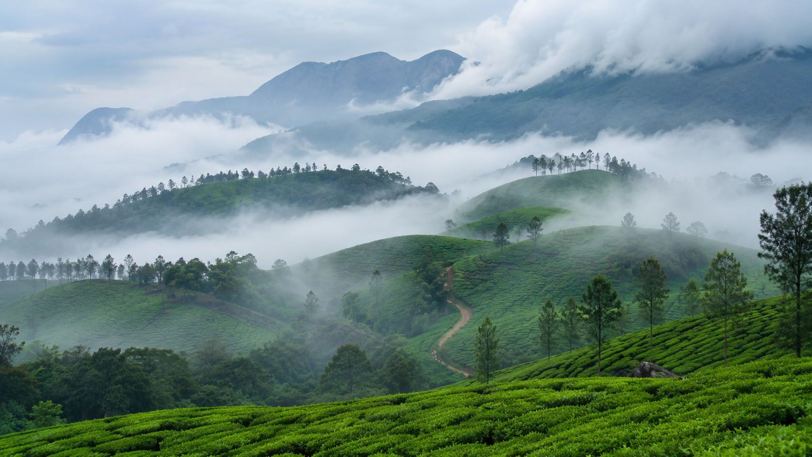 Munnar